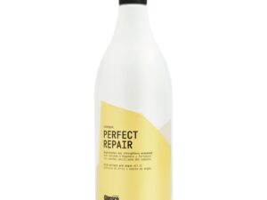 Glossco Perfect Repair šampūnas pažeistiems plaukams 250 ml.
